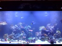 fts2.jpg
