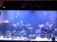 fts3.jpg