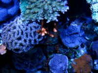 IMG_0211.jpg