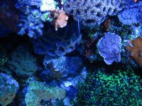 IMG_0212.JPG