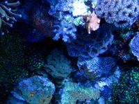 IMG_0213.jpg