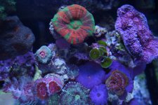 IMG_6200.jpg