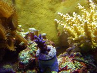 P3110036-1.jpg