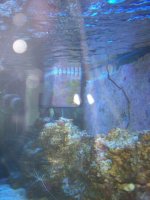 100_2670.jpg