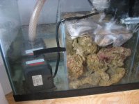 sump 2.jpg