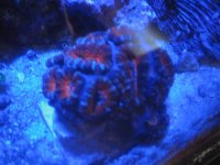 IMG_4058.jpg
