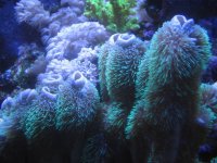 IMG_4016.jpg
