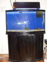 DSC06669.jpg
