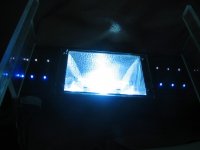 light 2.jpg