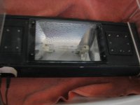 light 3.jpg