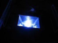 light 5.jpg