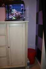 IMG_6237.jpg