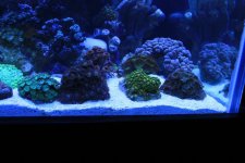 zoas3.jpg