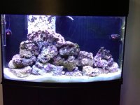 IMG00222-20100117-1535.jpg