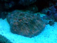 IMG00026chal.jpg
