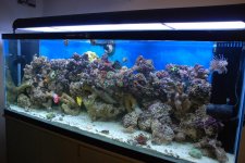 fishes 3-6-10 031.jpg