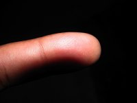 fingerprint.JPG