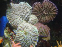 DSC01317.jpg