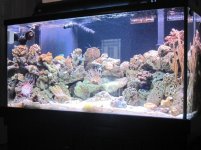IMG_1596.jpg