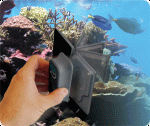 foto_magflip.gif