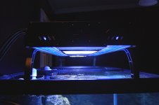 Light_Detail_2.jpg
