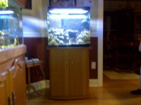 fish tank 2.jpg