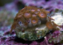 fish_090814_2547.jpg