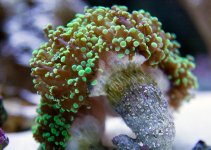 fish_090814_2548.jpg