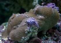 fish_090814_2542.jpg