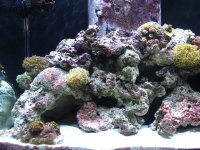 IMG_0763.jpg