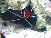 IMG_0770.jpg
