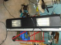 DSC01170.JPG