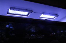 IMG_6729.jpg