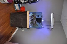 DSC_0127.jpg