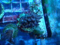 DSC03553.JPG