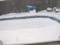 Care for a swim.jpg