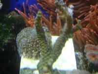 DSC01326.jpg