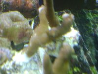 DSC01334.jpg