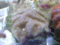 DSC01315.jpg