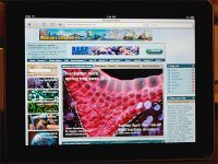 MR_IPAD_1Land.jpg