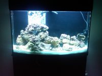IMG00191-20091227-2041.jpg