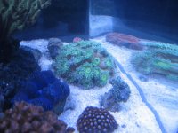 IMG_3613.jpg