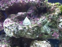 IMG00223-20100117-1707.jpg