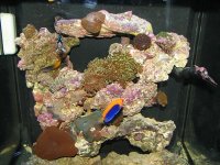 IMG_2521.JPG