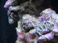 IMG_2525.JPG