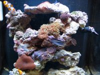 IMG_2531.JPG