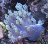 IMG_6065.jpg