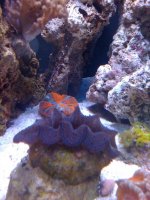 IMG_0143.jpg