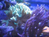 IMG_4051.jpg