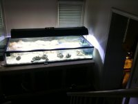 Picture 146.jpg
